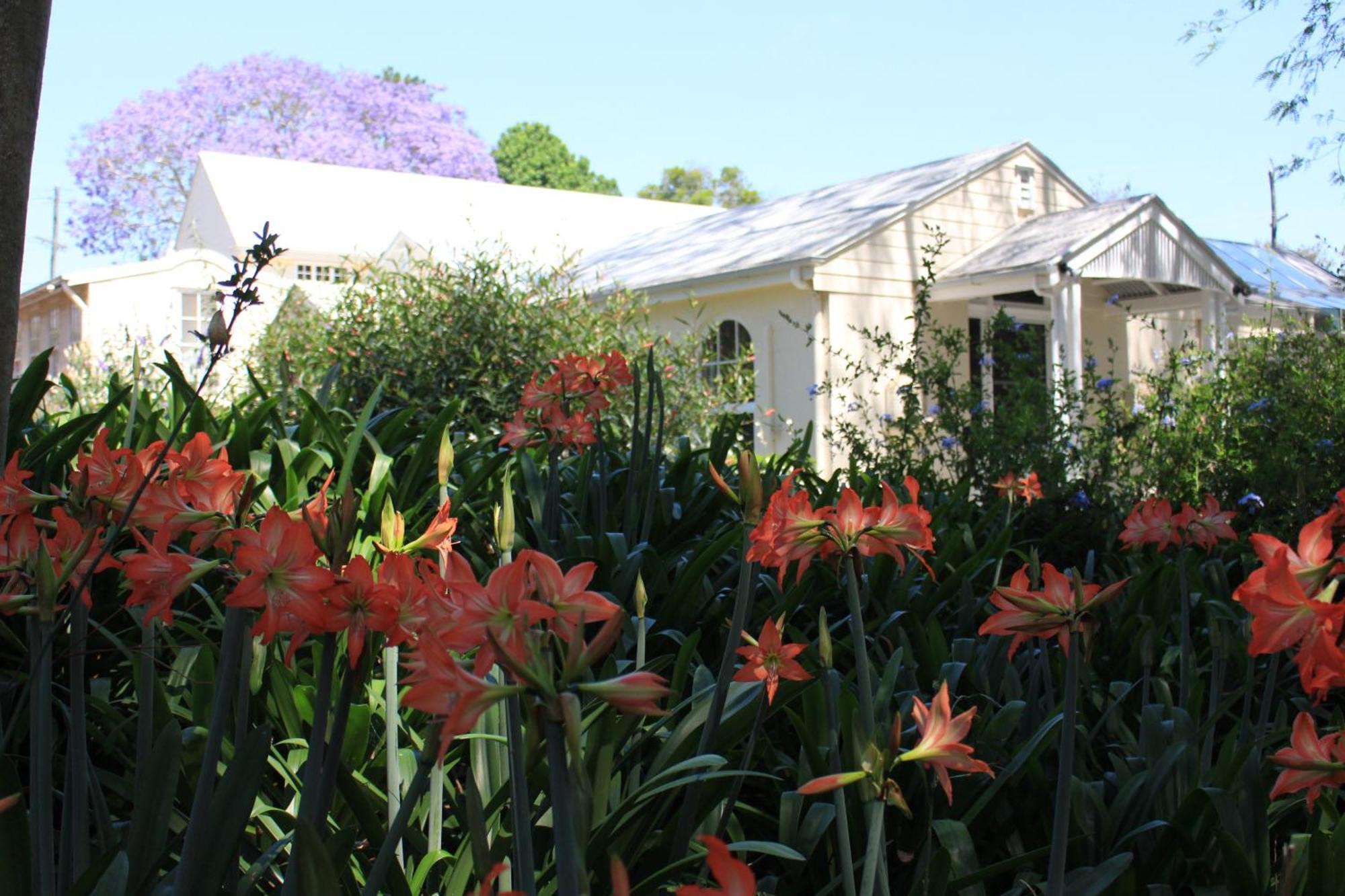 Wintergreen Manor At Maleny Hotel Exterior foto