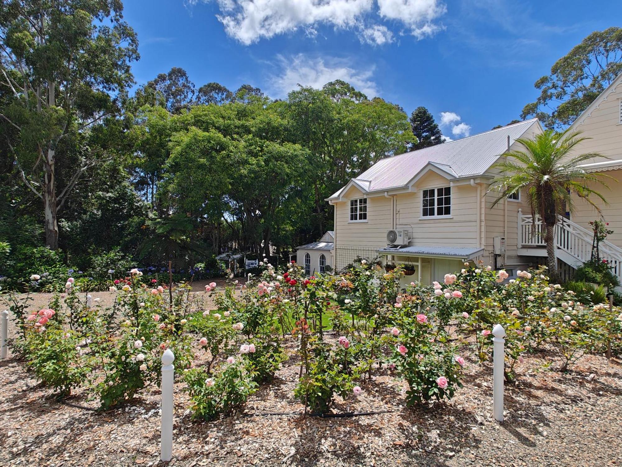 Wintergreen Manor At Maleny Hotel Exterior foto